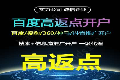 某知名品牌SEM运营策略及效果评估